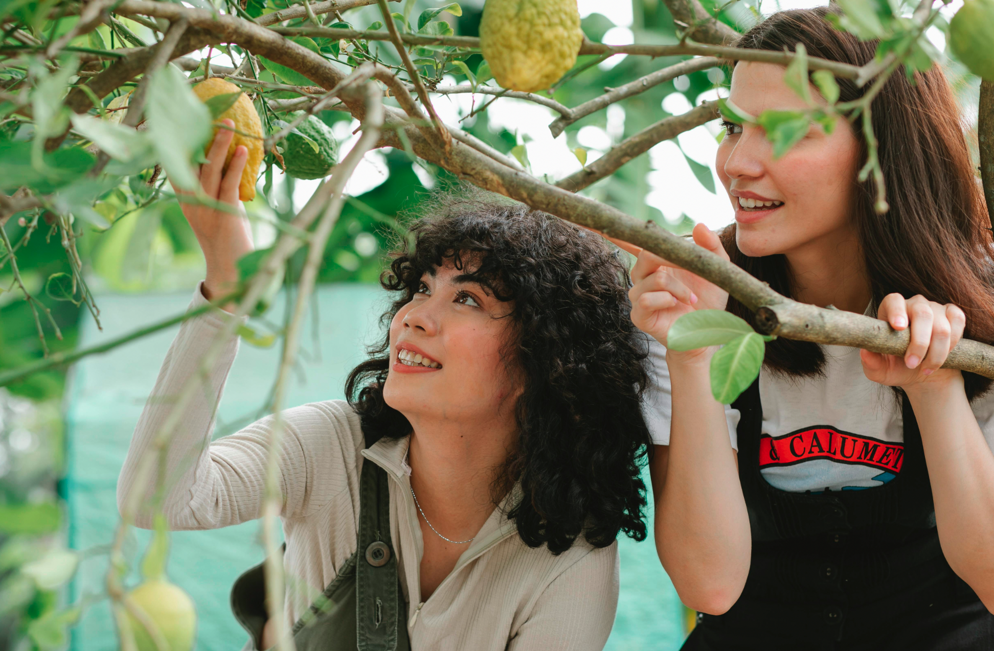 Explore the sunny side of France: the Côte d’Azur.